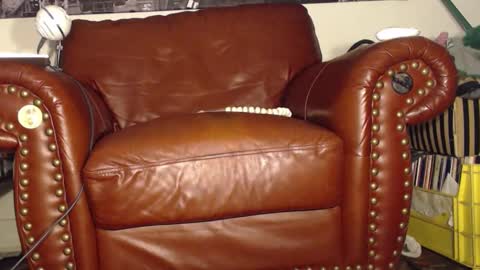 Snapshot of swolebbc chatting on 09/28/25, 03:45 The DickGod online show from 09/28/25, 03:45