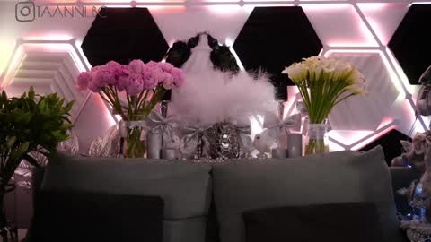 TAANNI online show from 01/31/25, 06:13