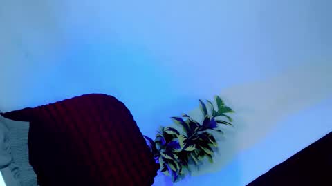 tamera_cummer0969 online show from 11/20/25, 07:57