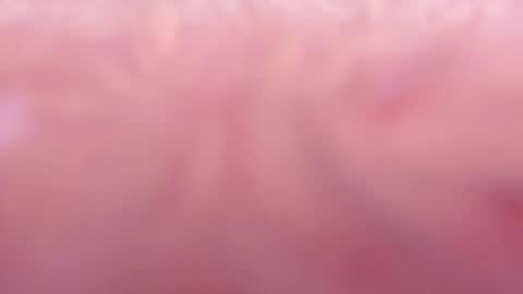 Tamy ian online show from 01/31/25, 10:42