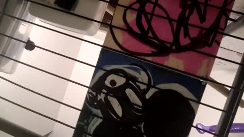 Luis online show from 02/10/25, 08:20