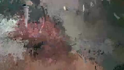 Luis online show from 02/17/25, 07:15