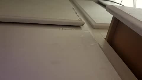 Luis online show from 10/06/25, 10:02