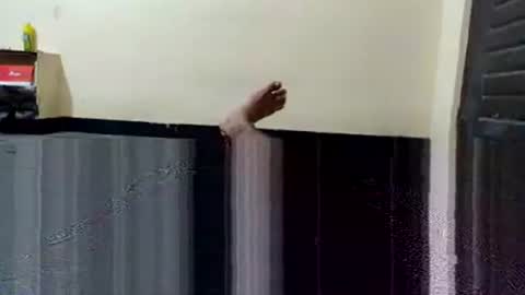 telugu_dick_hyd online show from 11/04/25, 10:53