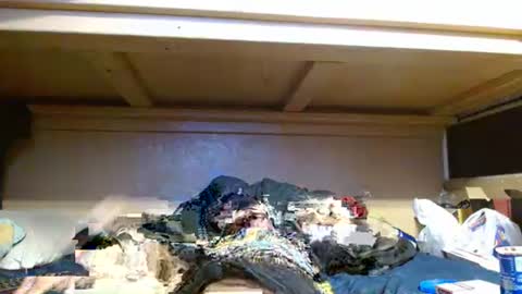 terdy2366 online show from 10/23/25, 06:02