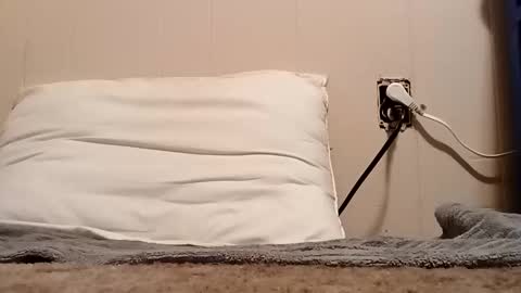 thatb1 online show from 11/05/25, 01:27