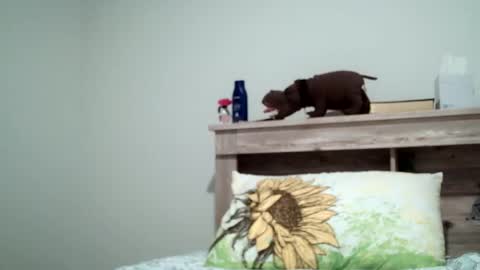 the_sam_ online show from 02/08/25, 01:54