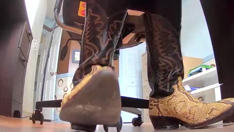 thecowboy_74 online show from 11/19/25, 04:07