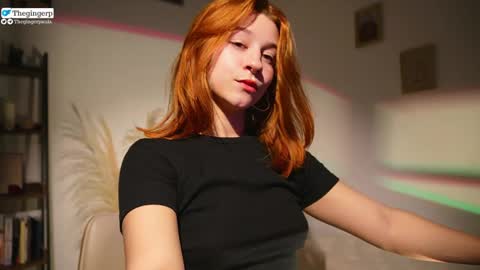 Snapshot of thegingerp chatting on 12/05/24, 11:07 Streaming mostly at online show from 12/05/24, 11:07