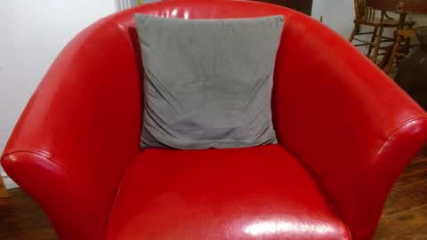 thekodyy online show from 01/09/25, 01:56