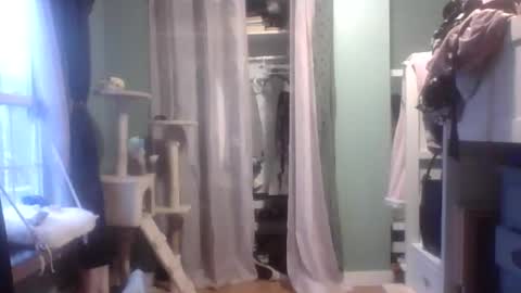 Little Bambii online show from 01/27/25, 09:55