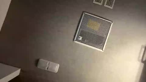 theonlyboi43ver online show from 10/24/25, 01:57