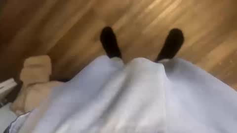 theplummer99 online show from 10/11/25, 01:53