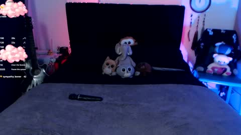 Snapshot of theprojectsara1 chatting on 12/30/24, 12:00 Sara online show from 12/30/24, 12:00