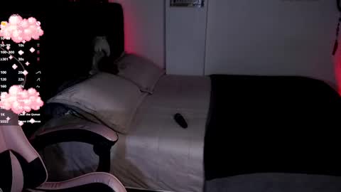 Snapshot of theprojectsara1 chatting on 10/30/25, 01:45 Sara online show from 10/30/25, 01:45