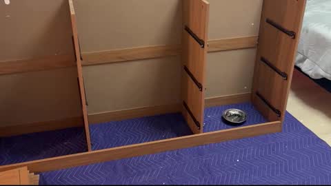 Snapshot of therealdylansdick chatting on 11/15/25, 12:41 therealdylansdick online show from 11/15/25, 12:41