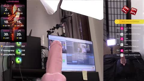 The Willow Fox online show from 01/28/25, 09:08