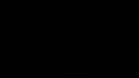 thiago_driussi online show from 11/12/25, 09:36