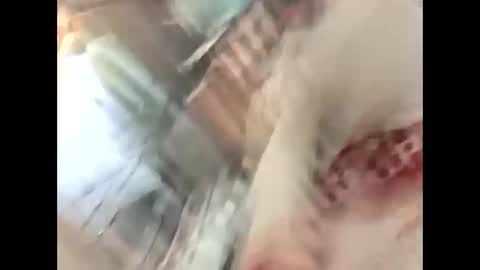 Snapshot of thunder8u42 chatting on 10/10/25, 12:37 thunder8u42 online show from 10/10/25, 12:37