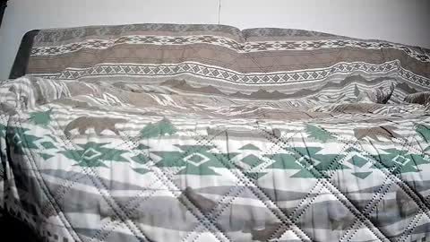 Casey online show from 12/13/24, 02:49