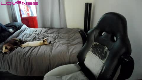 Snapshot of tinaricci chatting on 01/22/25, 07:45 Tina online show from 01/22/25, 07:45