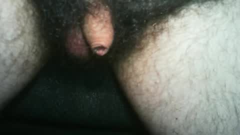 tinycocker online show from 10/25/25, 11:54