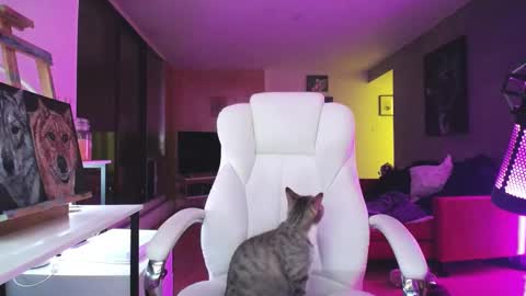 Snapshot of tinykylie chatting on 10/14/25, 01:06 stage Kylie Sinner brand CLITBAIT online show from 10/14/25, 01:06