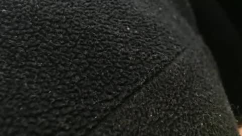 Snapshot of tinyslut66 chatting on 11/17/25, 10:59 tinyslut66 online show from 11/17/25, 10:59