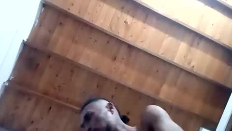 Snapshot of tnptlhvgyqcy chatting on 11/01/25, 05:20 DESTROY.S online show from 11/01/25, 05:20