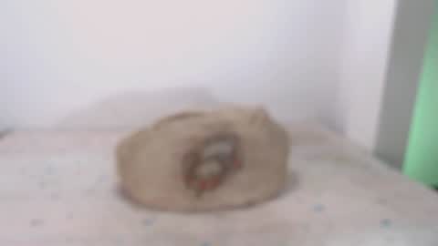 David online show from 02/07/25, 09:16