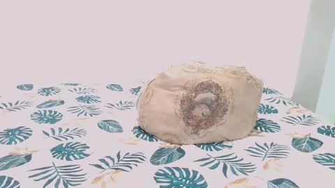 David online show from 02/09/25, 07:16