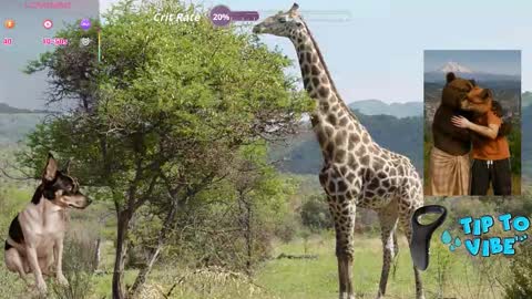 Snapshot of tomaz62a chatting on 10/30/25, 08:42 Tomaz62a online show from 10/30/25, 08:42