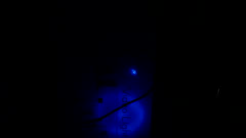   Thomas    online show from 01/21/25, 10:30