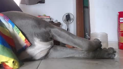   Thomas    online show from 02/04/25, 03:04