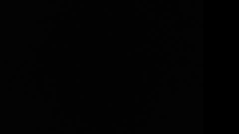 tooobvious online show from 01/10/25, 04:33