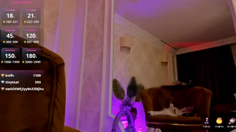 torri kitten online show from 12/29/24, 08:33