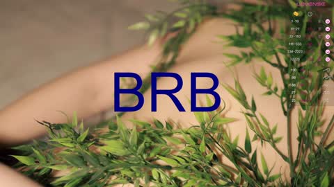 Snapshot of toshimori chatting on 12/11/24, 04:20 Toshi online show from 12/11/24, 04:20