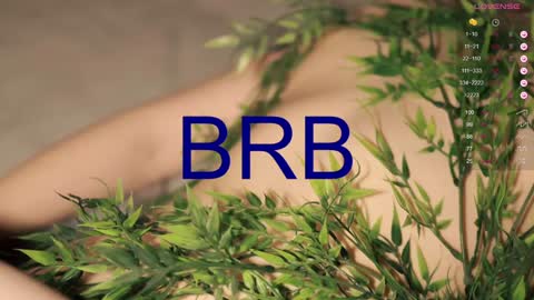 Snapshot of toshimori chatting on 12/20/24, 04:14 Toshi online show from 12/20/24, 04:14