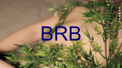 Snapshot of toshimori chatting on 01/27/25, 04:11 Toshi online show from 01/27/25, 04:11