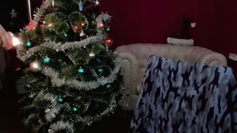   online show from 12/28/24, 08:05