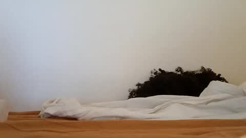 transexblackfat online show from 11/19/25, 01:33