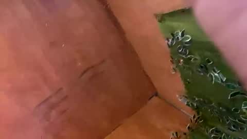 Snapshot of trebz_01 chatting on 11/17/25, 07:58 trebz_01 online show from 11/17/25, 07:58