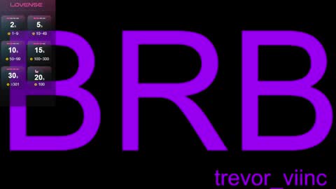 Snapshot of trevor_vinc chatting on 12/22/24, 03:33 trevor online show from 12/22/24, 03:33
