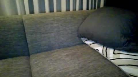 Snapshot of triciawu22 chatting on 12/08/24, 01:36 triciawu22 online show from 12/08/24, 01:36