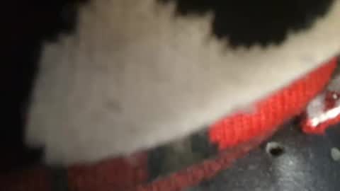 Snapshot of trobelle chatting on 12/26/24, 01:43 trobelle online show from 12/26/24, 01:43