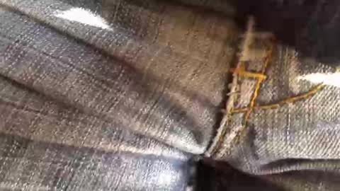 Snapshot of trobelle chatting on 11/18/25, 11:36 trobelle online show from 11/18/25, 11:36