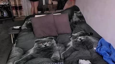 Lana online show from 10/09/25, 09:35