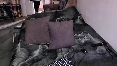 Lana online show from 11/17/25, 07:36