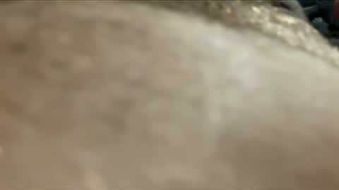 twotims12 online show from 11/24/25, 07:57