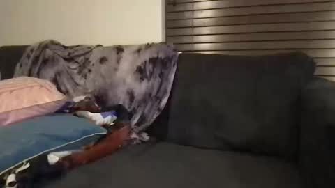 Snapshot of urwivesaffair chatting on 10/12/25, 01:54 Urwivesaffair online show from 10/12/25, 01:54